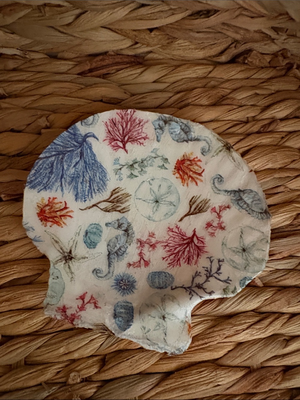 Seashell Shaped Trinket Dish with Coastal Print